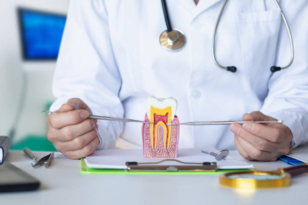 Best Pediatric Emergency Dentist in Bluffton, SC